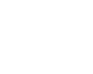 Nokto