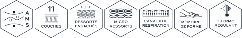 ICON — features hexagones